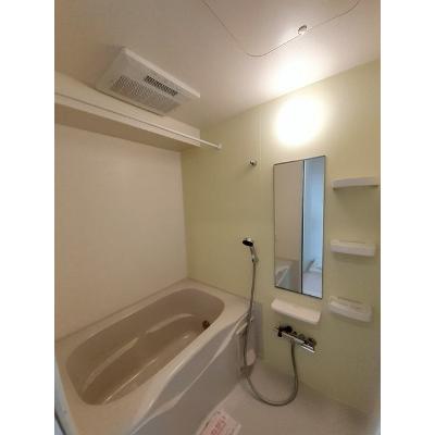 ソラーナ 203【管理NO：1-023684001-02030】 ★家具家電は申し込み後に搬入します 2026年07月中旬入居可能の物件画像