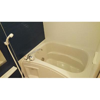 フォンテ・フォルス 202【管理NO：1-014007401-02020】 ★家具家電は申し込み後に搬入します★の物件画像