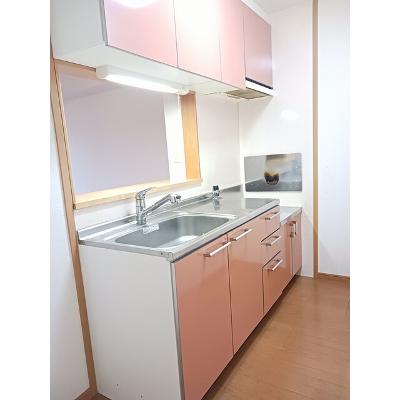 リヴィエールⅡ 203【管理NO：1-013290002-02030】 ★家具家電は申し込み後に搬入しますの物件画像