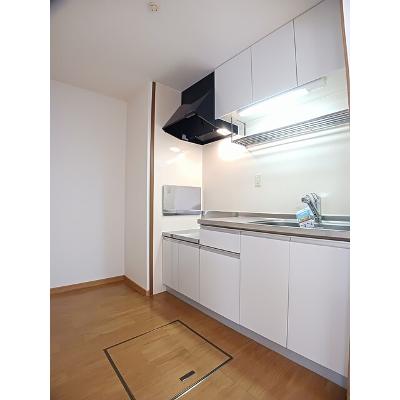 グランド・メール 102【管理NO：1-009488901-01020】 ★家具家電は申し込み後に搬入しますの物件画像