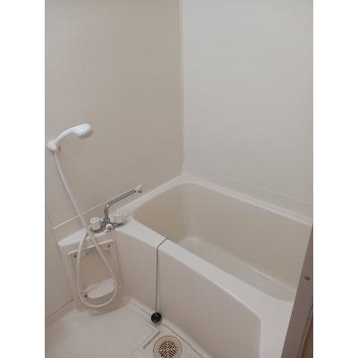 アルバ・ソーレⅡ 202【管理NO：1-007801301-02020】 ★家具家電は申し込み後に搬入しますの物件画像