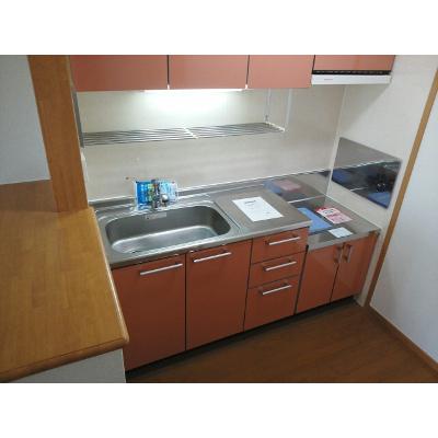 ミニョンパンセⅡ 203【管理NO：1-013172501-02030】 ★家具家電は申し込み後に搬入しますの物件画像