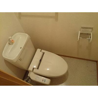 プラシードカーサＢ 202【管理NO：1-013346202-02020】 ★家具家電は申し込み後に搬入しますの物件画像