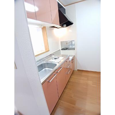 カノンⅢ 201【管理NO：1-013062403-02010】 ★家具家電は申し込み後に搬入しますの物件画像