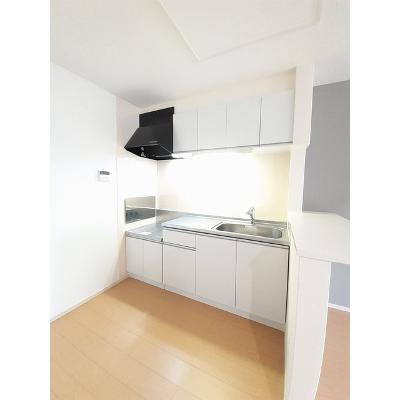グリーンシトラス 202【管理NO：1-018889101-02020】 ★家具家電は申し込み後に搬入しますの物件画像
