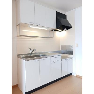 レモングラス　Ｂ 203【管理NO：1-014954102-02030】 ★家具家電は申し込み後に搬入します★の物件画像