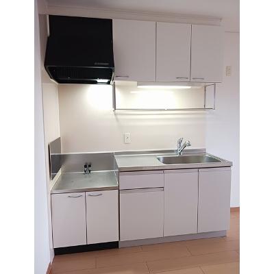 レモングラス　Ａ 203【管理NO：1-014954101-02030】 ★家具家電は申し込み後に搬入しますの物件画像