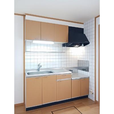 リーオ・グランデＡ 101【管理NO：1-011882301-01010】 ★家具家電は申し込み後に搬入します★の物件画像