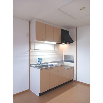 フランベルＡ 201【管理NO：1-015079201-02010】 ★家具家電は申し込み後に搬入しますの物件画像