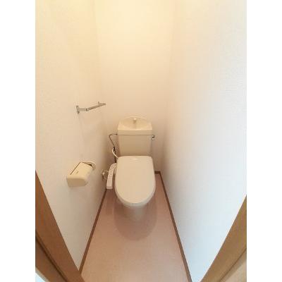 サンミュール木太 203【管理NO：1-010267301-02030】 ★家具家電は申し込み後に搬入しますの物件画像