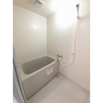 ルレーブ・ロイヤル 302【管理NO：1-005966001-03020】 ★家具家電は申し込み後に搬入しますの物件画像