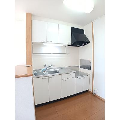 ブランド　バーグＡ 203【管理NO：1-013446501-02030】 ★家具家電は申し込み後に搬入します★の物件画像