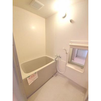 メゾニティ１４Ａ 203【管理NO：1-004211901-02030】 ★家具家電は申し込み後に搬入します 2026年08月上旬入居可能の物件画像