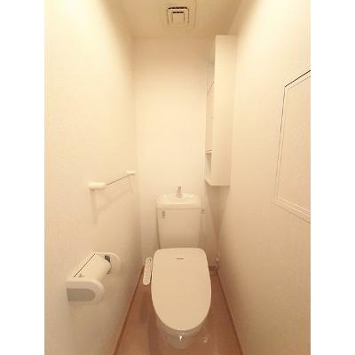 秋桜ミディ 202【管理NO：1-016514101-02020】 ★家具家電は申し込み後に搬入しますの物件画像