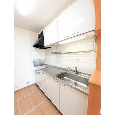 メゾン　ド　プロバンス　Ｃ 102【管理NO：1-015023803-01020】 ★家具家電は申し込み後に搬入しますの物件画像