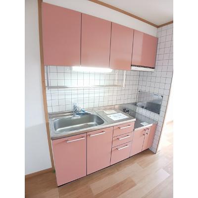 プラシード　Ｂ 201【管理NO：1-012856802-02010】 ★家具家電は申し込み後に搬入しますの物件画像