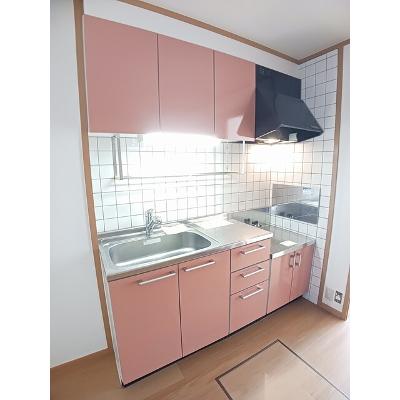 アヴニールＢ 103【管理NO：1-012472402-01030】 ★家具家電は申し込み後に搬入しますの物件画像