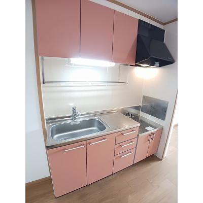 セナ　アイランド　Ａ 202【管理NO：1-012284201-02020】 ★家具家電は申し込み後に搬入しますの物件画像