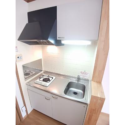 ホワイト・リバー 202【管理NO：1-010797901-02020】 ★家具家電は申し込み後に搬入しますの物件画像
