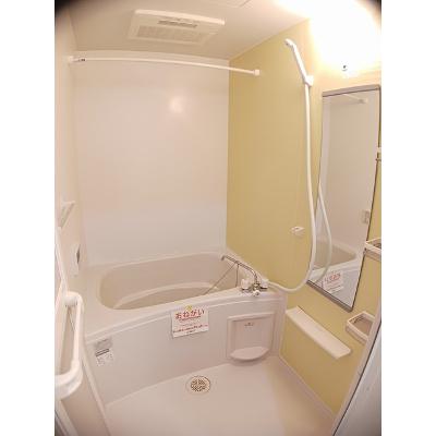 ルミエール 101【管理NO：1-018228801-01010】 ★家具家電は申し込み後に搬入します★の物件画像
