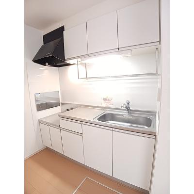 レユスィートＹ　Ⅴ 102【管理NO：1-016842602-01020】 ★家具家電は申し込み後に搬入しますの物件画像