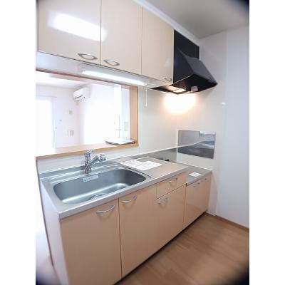 ブルー　アイランド 202【管理NO：1-014350301-02020】 ★家具家電は申し込み後に搬入しますの物件画像