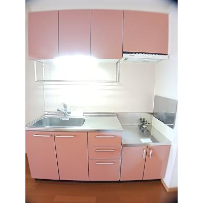 エマールカモガワ 103【管理NO：1-013550601-01030】 ★家具家電は申し込み後に搬入しますの物件画像