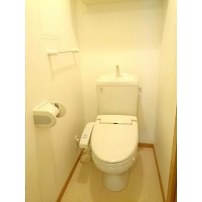 メゾン・ポポラーレＢ 202【管理NO：1-013067902-02020】 ★家具家電は申し込み後に搬入しますの物件画像