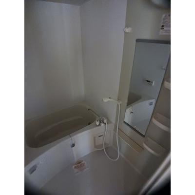 ベル・ソレイユＤ 202【管理NO：1-012954002-02020】 ★家具家電は申し込み後に搬入します★の物件画像
