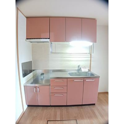 パレス・ニュールミネⅡ　Ａ 103【管理NO：1-012742101-01030】 ★家具家電は申し込み後に搬入しますの物件画像