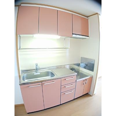 セナ　アイランド　Ｂ 203【管理NO：1-012284202-02030】 ★家具家電は申し込み後に搬入しますの物件画像