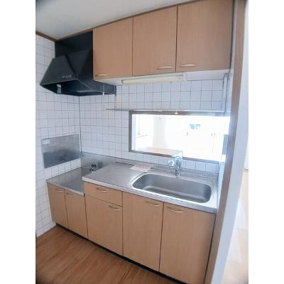 サンライズ川原　Ｃ 201【管理NO：1-011671501-02010】 ★家具家電は申し込み後に搬入しますの物件画像