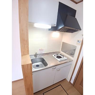 ホワイト・リバー 101【管理NO：1-010797901-01010】 ★家具家電は申し込み後に搬入します★の物件画像