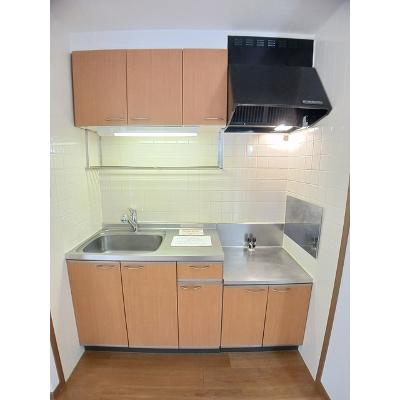 グレープガーデンＣ 103【管理NO：1-010338001-01030】 ★家具家電は申し込み後に搬入しますの物件画像