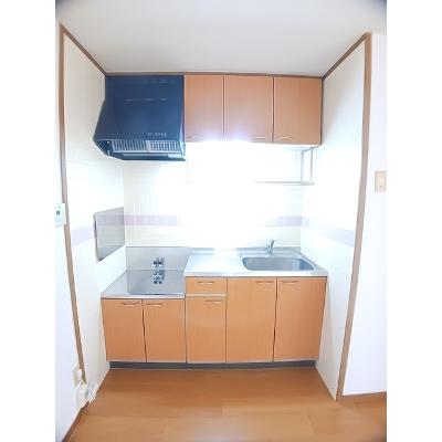 プロムナード　Ａ 102【管理NO：1-010248201-01020】 ★家具家電は申し込み後に搬入します★の物件画像