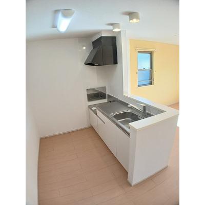 エアリーⅡ 202【管理NO：1-019167101-02020】 ★家具家電は申し込み後に搬入します★の物件画像