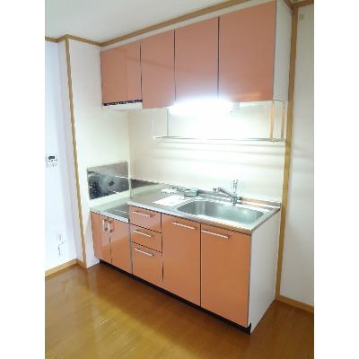 ブルーマーリン　Ｂ 102【管理NO：1-013275102-01020】 ★家具家電は申し込み後に搬入しますの物件画像