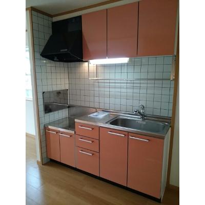 メゾンサニー 201【管理NO：1-012452301-02010】 ★家具家電は申し込み後に搬入します★の物件画像