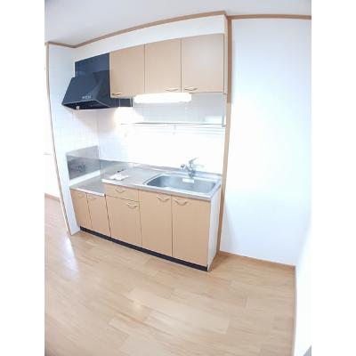 ラフレシールⅠ 201【管理NO：1-011849201-02010】 ★家具家電は申し込み後に搬入します★の物件画像