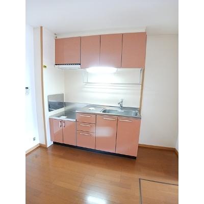 サンリット・オアシスＢ 103【管理NO：1-013549302-01030】 ★家具家電は申し込み後に搬入します★の物件画像