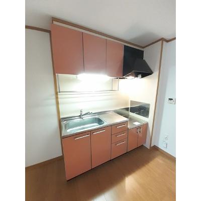 ブルーマーリン　Ｂ 101【管理NO：1-013275102-01010】 ★家具家電は申し込み後に搬入しますの物件画像