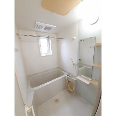 ブルーマーリン　Ｂ 101【管理NO：1-013275102-01010】 ★家具家電は申し込み後に搬入しますの物件画像