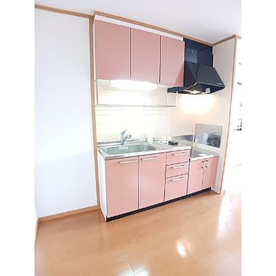ベルシェーネ　Ｂ 202【管理NO：1-013023802-02020】 ★家具家電は申し込み後に搬入します★の物件画像