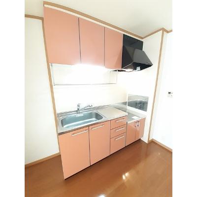 サングリーンハイツＡ 102【管理NO：1-012927901-01020】 ★家具家電は申し込み後に搬入します★の物件画像