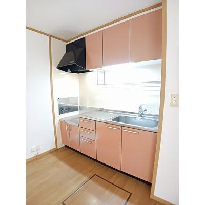 パシエンテＢ 103【管理NO：1-012799402-01030】 ★家具家電は申し込み後に搬入します★の物件画像