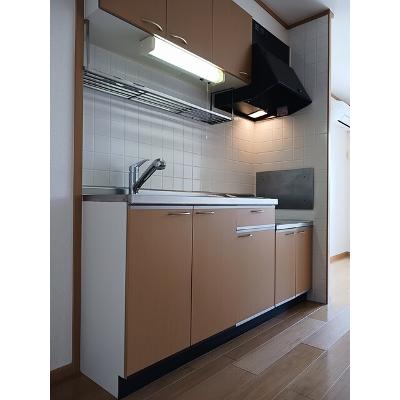 ビルゴ・レオーネＣ 201【管理NO：1-011846801-02010】 ★家具家電は申し込み後に搬入しますの物件画像