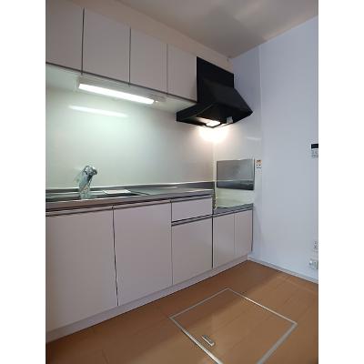 サーペンス　セルペンスⅡ 101【管理NO：1-018886602-01010】 ★家具家電は申し込み後に搬入しますの物件画像