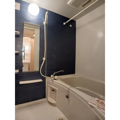 サーペンス　セルペンスⅡ 101【管理NO：1-018886602-01010】 ★家具家電は申し込み後に搬入しますの物件画像