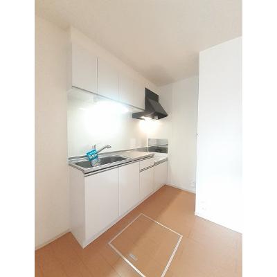 パークハイム椿　Ⅱ 103【管理NO：1-018639702-01030】 ★家具家電は申し込み後に搬入しますの物件画像