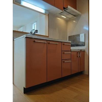 セレナ・カーサＡ 103【管理NO：1-013489001-01030】 ★家具家電は申し込み後に搬入しますの物件画像